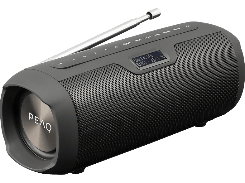 PEAQ PPA 450 DAB+ Bluetooth Lautsprecher, Schwarz