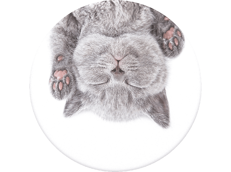 POPSOCKETS PopGrip Cat Nap Handyhalterung, Mehrfarbig