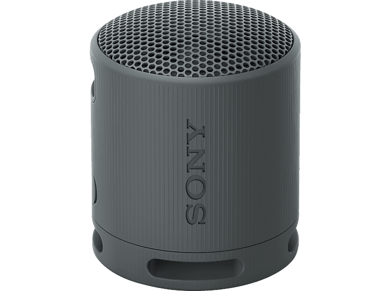 SONY SRS-XB100 Bluetooth Lautsprecher, Schwarz, Wasserfest